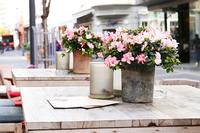 Frühling in der Friedrichstraße