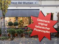 Türchen 10: Haus der Blumen