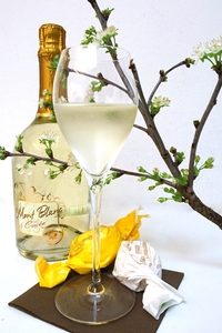 Kirschblütentage bei Kessel´s Espresso Studio