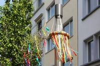 Alles neu macht der Mai - Foto: R. Goseberg