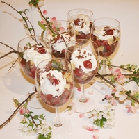 Kirschblütentage bei Sabine Schmid