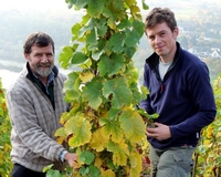 Weingut Lay - Moselweine