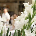 Diner en blanc 2012 - Foto: R. Goseberg