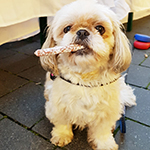 Diner en blanc 2017 - Foto: L. Mihailovici 