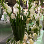 Diner en blanc 2012 - Foto: Liliana Mihailovici