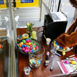 2. Internationale Bonner Eierlaufmeisterschaften 2013 - Foto: R. Goseberg