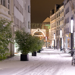 Friedrichstrasse Bonn - Foto: R. Goseberg