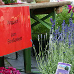 Friedrichstraßenfest 2013 - Foto: R. Goseberg