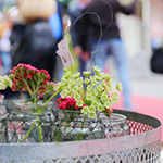 Friedrichstraßenfest 2015 - Foto: R. Goseberg