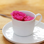 Friedrichstraßenfest 2017 - Foto: R. Goseberg