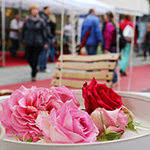 Friedrichstraßenfest 2016 - Foto: R. Goseberg
