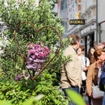 Friedrichstraßenfest 2016 - Foto: R. Goseberg