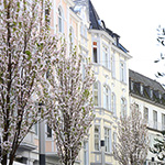 Frühlingsimpressionen 2014 - Foto: rheinline - Melanie Kranz