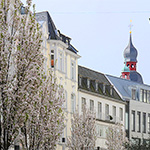 Frühlingsimpressionen 2014 - Foto: rheinline - Melanie Kranz