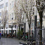 Frühlingsimpressionen 2014 - Foto: rheinline - Melanie Kranz