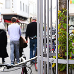 Frühlingsimpressionen 2014 - Foto: rheinline - Melanie Kranz