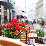 Frühlingsimpressionen 2014 - Foto: rheinline - Melanie Kranz