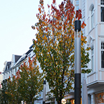 Herbstsimpressionen 2014 - Foto: rheinline - Melanie Kranz