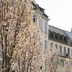 Frühlingsimpressionen 2015 - Foto: R. Goseberg