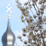 Frühlingsimpressionen 2017 - Foto: R. Goseberg