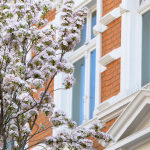 Frühlingsimpressionen 2017 - Foto: R. Goseberg