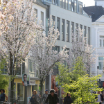 Frühlingsimpressionen 2017 - Foto: R. Goseberg