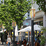 Mai Dekoration 2014 - Foto: R. Goseberg