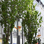 Mai Dekoration 2015 - Foto: rheinline - Melanie Kranz