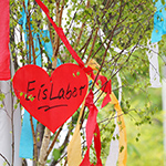 Maikränze 2017 - Foto: rheinline