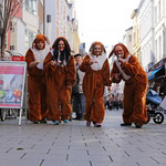 5. Internationale Bonner Eierlaufmeisterschaften 2016 - Foto: R. Goseberg