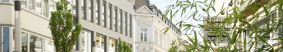 Friedrichstrasse Bonn