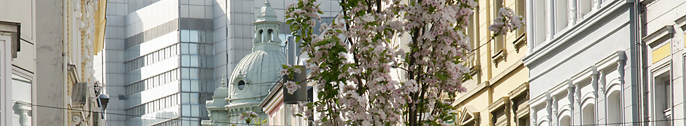 Friedrichstrasse Bonn