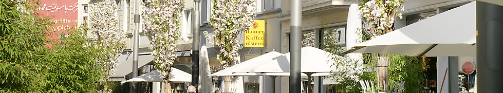 Friedrichstrasse Bonn