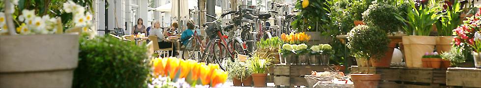 Friedrichstrasse Bonn