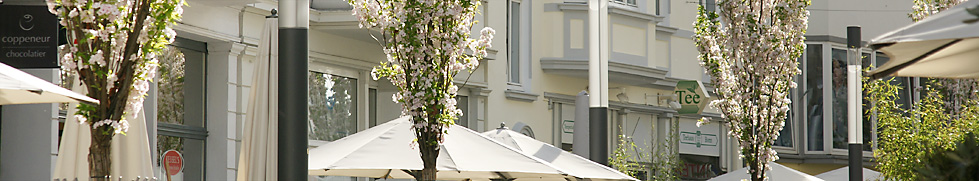 Friedrichstrasse Bonn